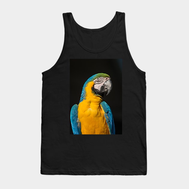 Blue And Gold Macaw Tank Top by AndrewGoodall